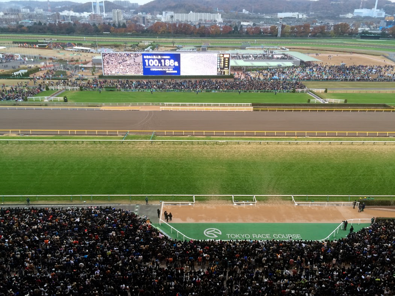 Illustration for article titled A Day At The Track For The World's Biggest And Strangest Horse Race